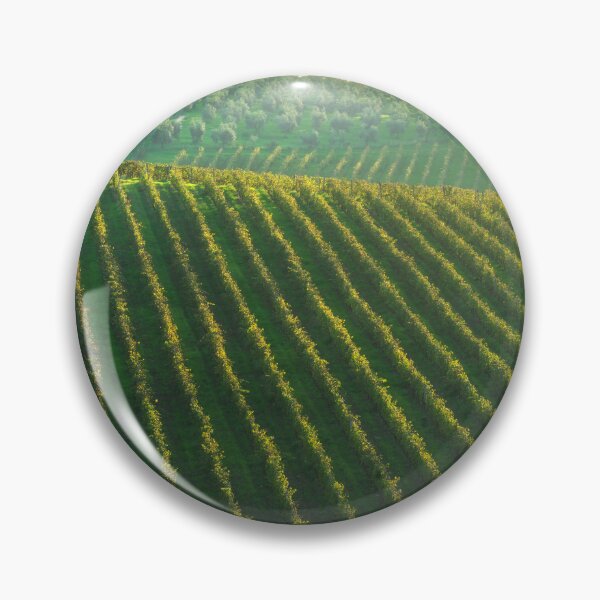 Item preview, Chianti vineyards landscape and a pine tree in autumn. Tuscany, Italy designed and sold by Stefano Orazzini.