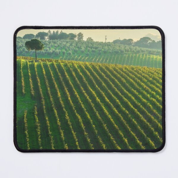 Item preview, Chianti vineyards landscape and a pine tree in autumn. Tuscany, Italy designed and sold by Stefano Orazzini.