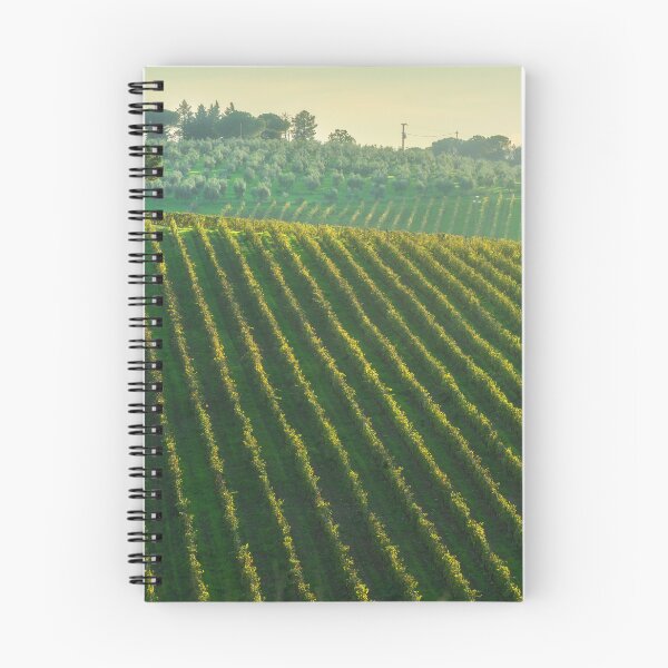 Item preview, Chianti vineyards landscape and a pine tree in autumn. Tuscany, Italy designed and sold by Stefano Orazzini.