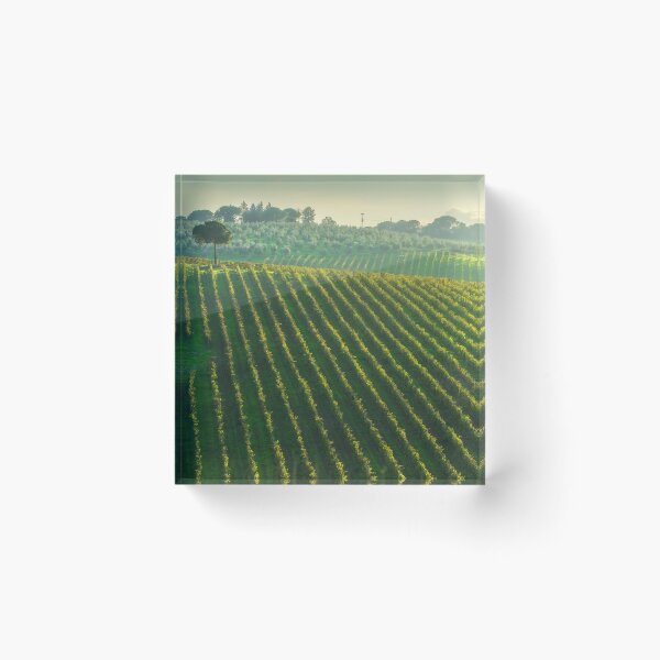 Item preview, Chianti vineyards landscape and a pine tree in autumn. Tuscany, Italy designed and sold by Stefano Orazzini.