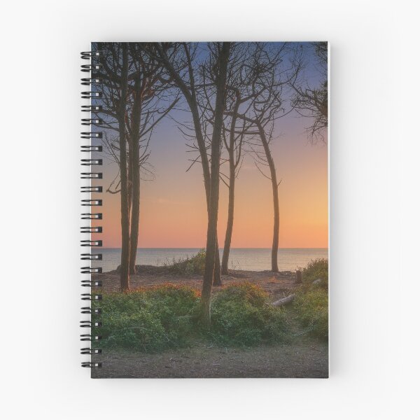 Item preview, Pine trees, beach and sea at sunset in Marina di Cecina, Tuscany, Italy designed and sold by Stefano Orazzini.