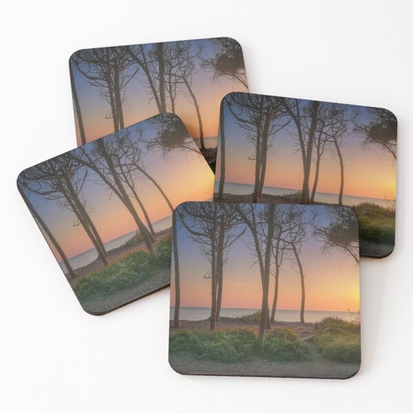 Item preview, Pine trees, beach and sea at sunset in Marina di Cecina, Tuscany, Italy designed and sold by Stefano Orazzini.