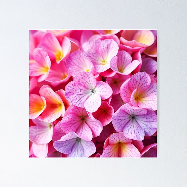 Item preview, pink hydrangea petals closeup designed and sold by EmeraldeaArt.