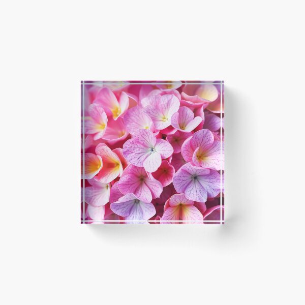 Item preview, pink hydrangea petals closeup designed and sold by EmeraldeaArt.