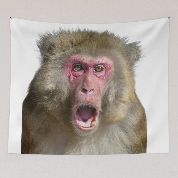 Item preview, roaring monkey designed and sold by Palatinasart.
