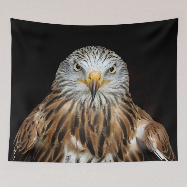 Item preview, red kite designed and sold by Palatinasart.