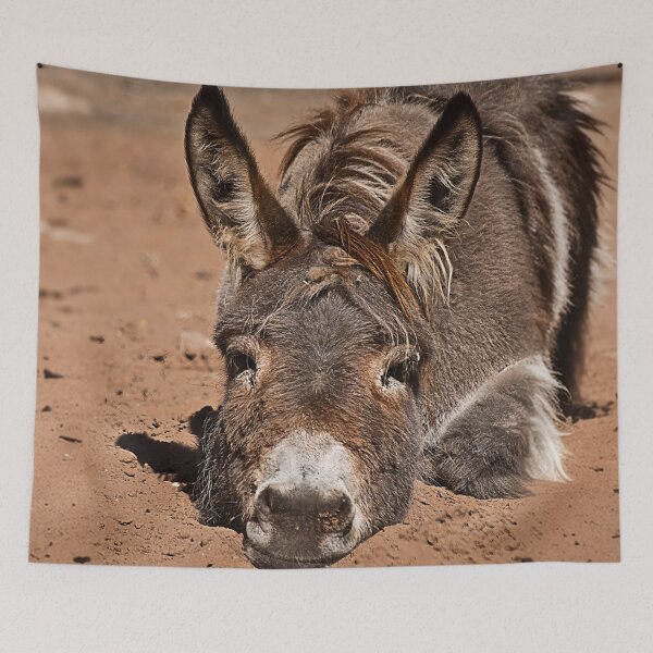 Item preview, Tired Donkey designed and sold by Palatinasart.