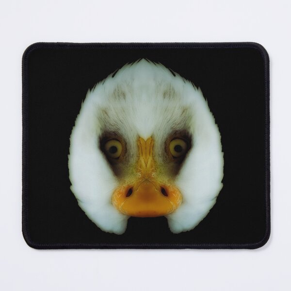 Item preview, Double Bald Eagle designed and sold by Palatinasart.