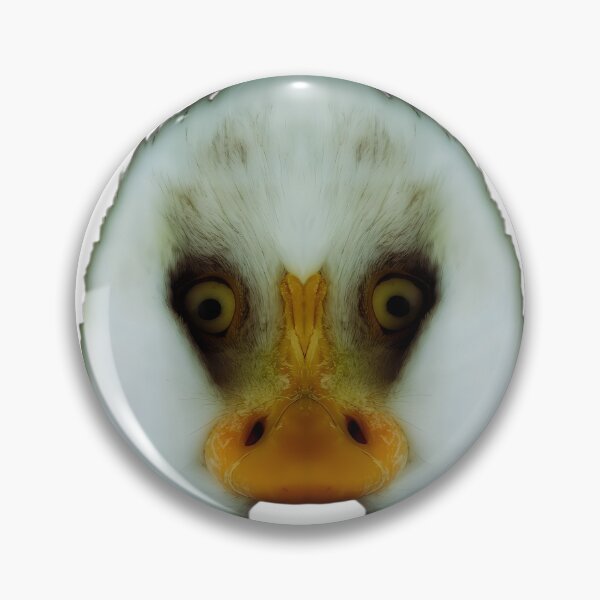 Item preview, Double Bald Eagle designed and sold by Palatinasart.