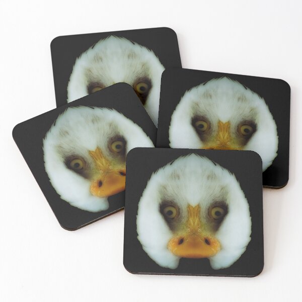 Item preview, Double Bald Eagle designed and sold by Palatinasart.