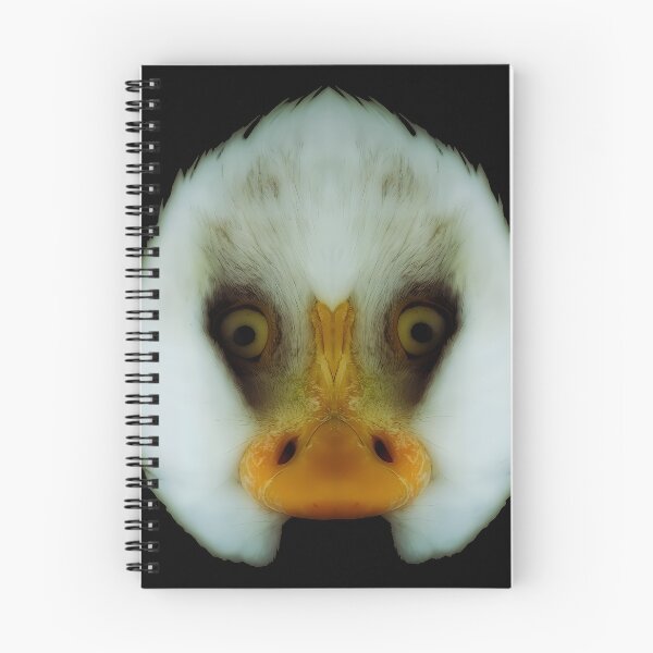 Item preview, Double Bald Eagle designed and sold by Palatinasart.