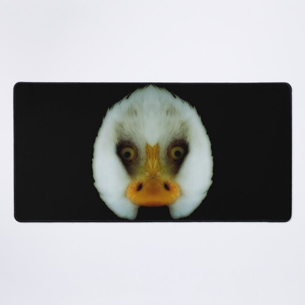 Item preview, Double Bald Eagle designed and sold by Palatinasart.