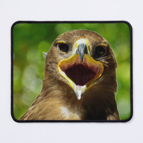Item preview, Tawny Eagle designed and sold by Palatinasart.