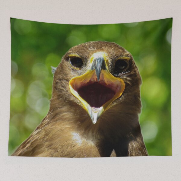 Item preview, Tawny Eagle designed and sold by Palatinasart.