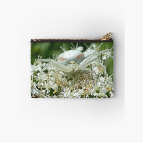Item preview, Crab Spider looking at me........Lyme  Dorset UK designed and sold by lynn carter.