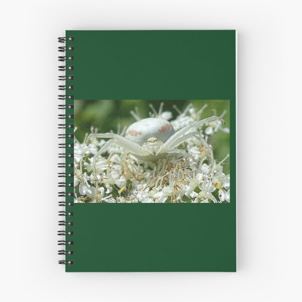 Item preview, Crab Spider looking at me........Lyme  Dorset UK designed and sold by lynn carter.