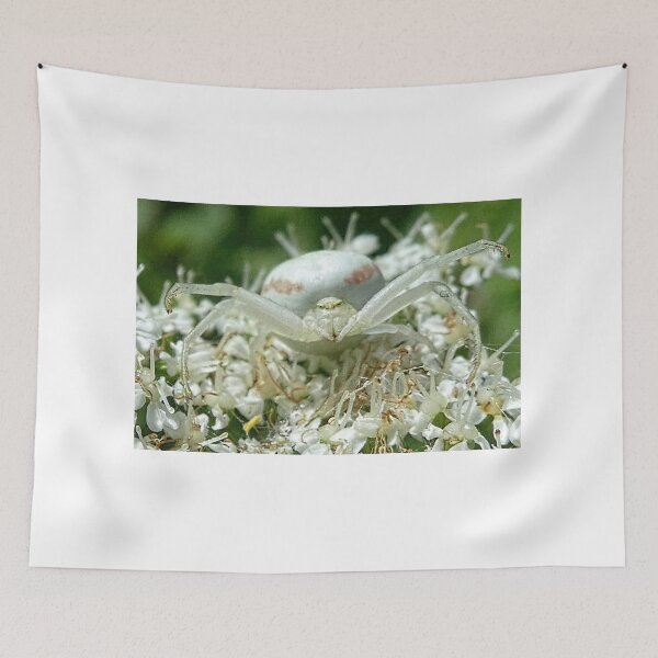 Item preview, Crab Spider looking at me........Lyme  Dorset UK designed and sold by lynn carter.