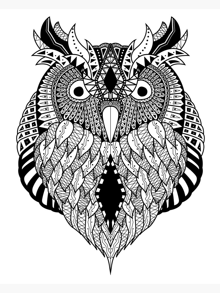 "Aztec Owl" Canvas Print for Sale by conortravers Redbubble