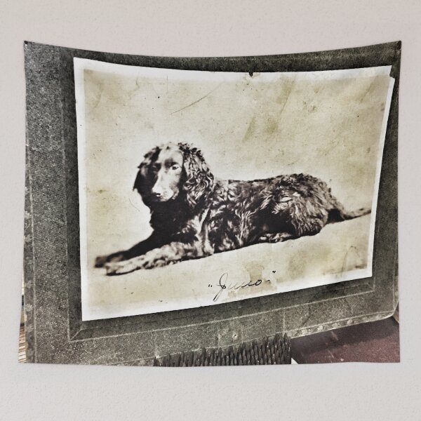 Item preview, Antique Dog Picture designed and sold by l-g-smith.