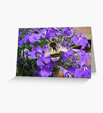 Bumble-bee in purple Greeting Card