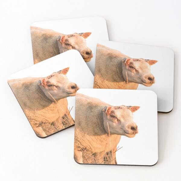 Item preview, Texel Sheep II designed and sold by Jane Stanley Photography.