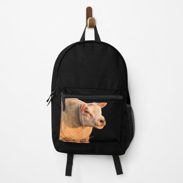 Item preview, Texel Sheep II designed and sold by Jane Stanley Photography.