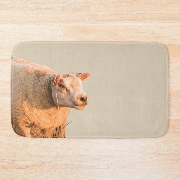 Item preview, Texel Sheep II designed and sold by Jane Stanley Photography.