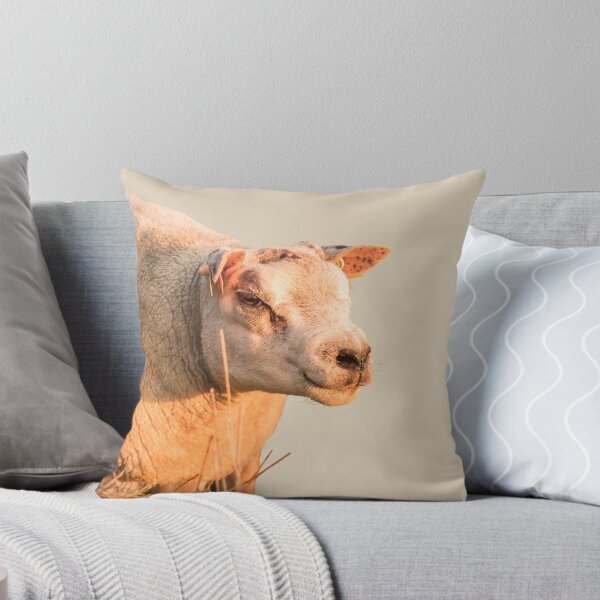 Item preview, Texel Sheep II designed and sold by Jane Stanley Photography.