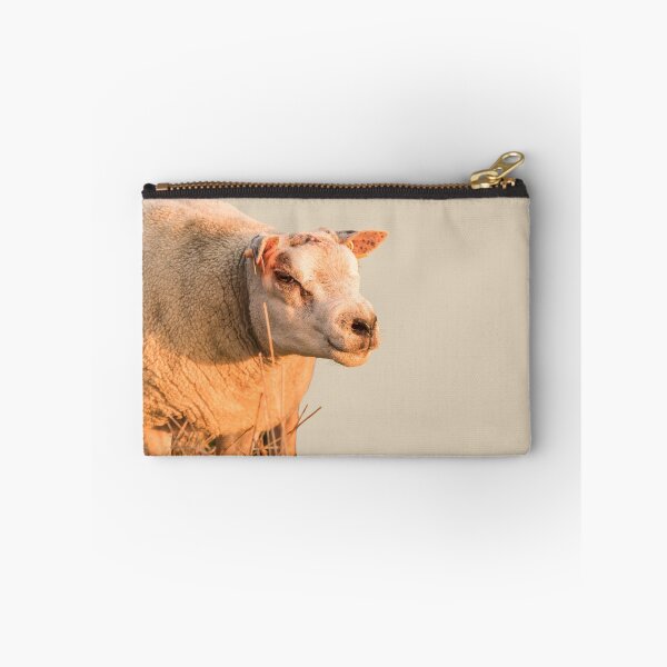 Item preview, Texel Sheep II designed and sold by Jane Stanley Photography.
