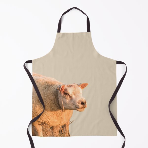 Item preview, Texel Sheep II designed and sold by Jane Stanley Photography.