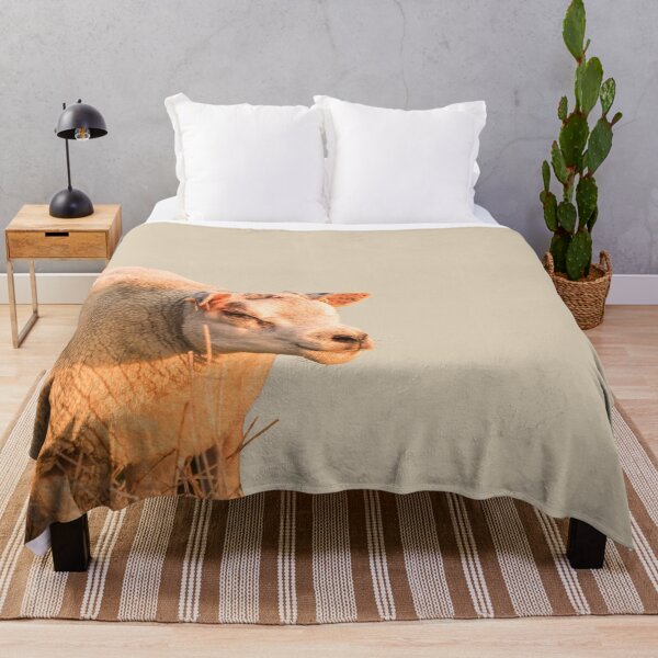 Item preview, Texel Sheep II designed and sold by Jane Stanley Photography.