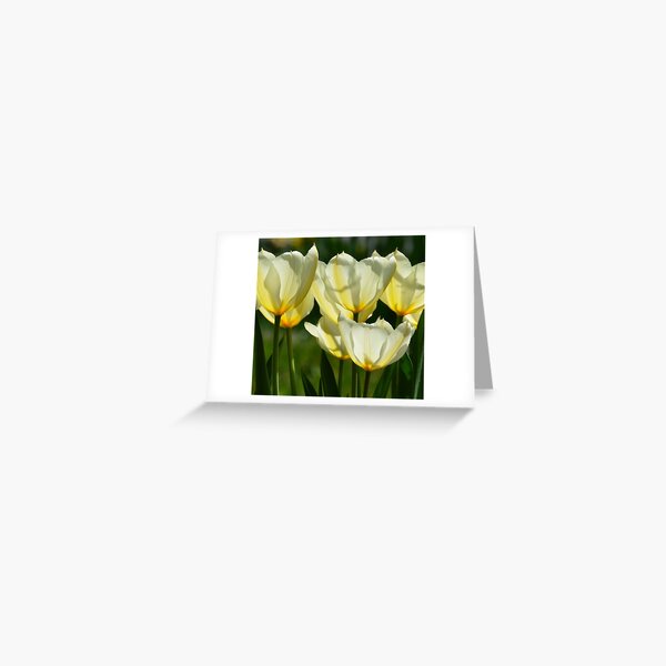 Translucence Greeting Card