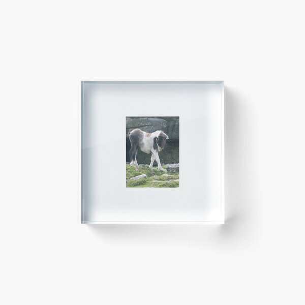 Item preview, Waiting for my Mum designed and sold by Hazel Jones - Rhodes .