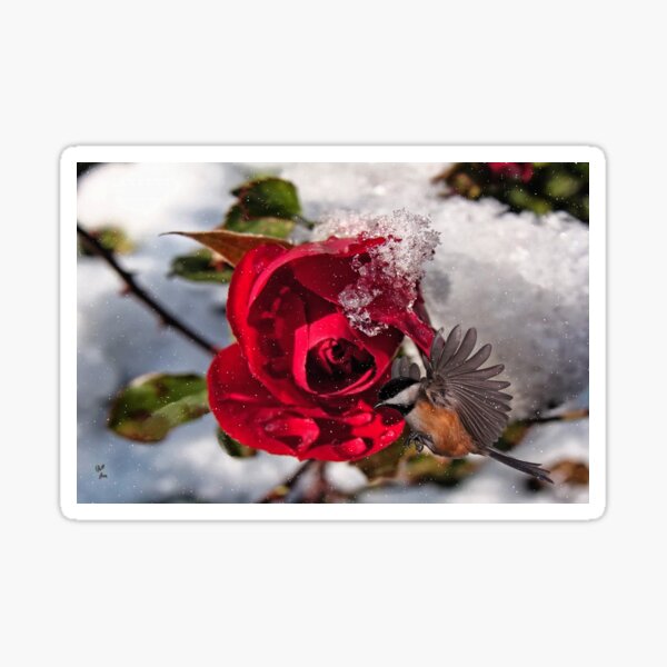 Item preview, Spirit of Beauty designed and sold by billfox256.