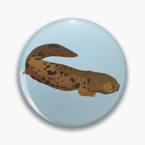 Artikelvorschau, H steht für Hellbender, Hellbender Salamander – Illustration eines großen nordamerikanischen Wasseramphibiums entworfen und verkauft von PrettylittlepastelUk.