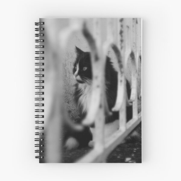 Item preview, Through The Bars A Watchful Eye designed and sold by Kyma Collective.