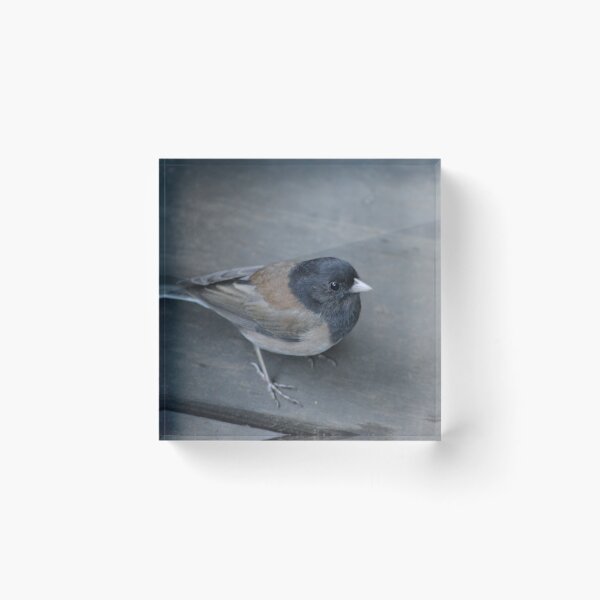 Item preview, Bird designed and sold by Iris-Kinly.