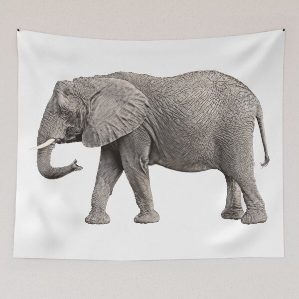 Item preview, Elephant Walking designed and sold by oz10.