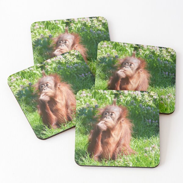 Item preview, Young Orangutan Deep in Thought designed and sold by rawshutterbug.