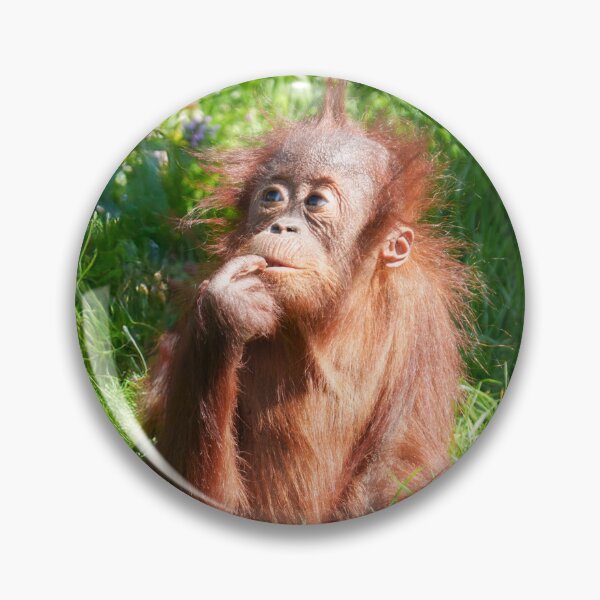 Item preview, Young Orangutan Deep in Thought designed and sold by rawshutterbug.