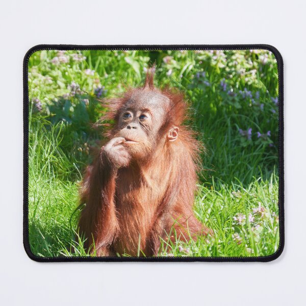 Item preview, Young Orangutan Deep in Thought designed and sold by rawshutterbug.