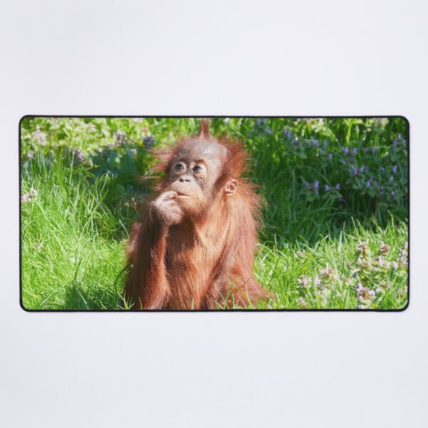 Item preview, Young Orangutan Deep in Thought designed and sold by rawshutterbug.