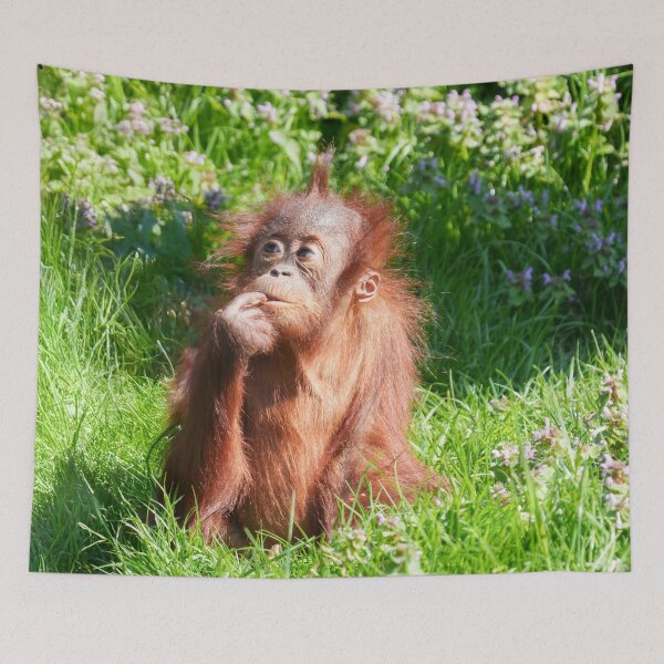 Item preview, Young Orangutan Deep in Thought designed and sold by rawshutterbug.