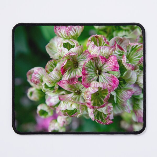Item preview, Petal Whispers designed and sold by OrsalArt.
