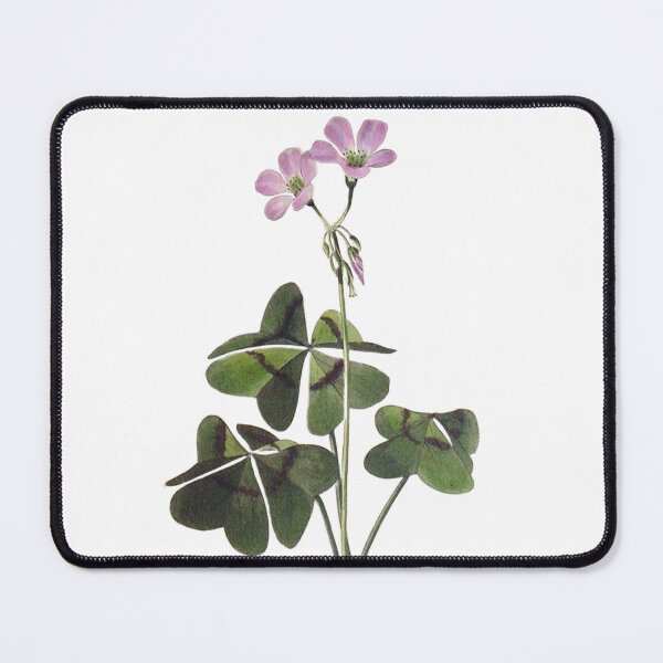 Item preview, Botanical Illustration – Exotic Oxalis designed and sold by DAMADRAMA.