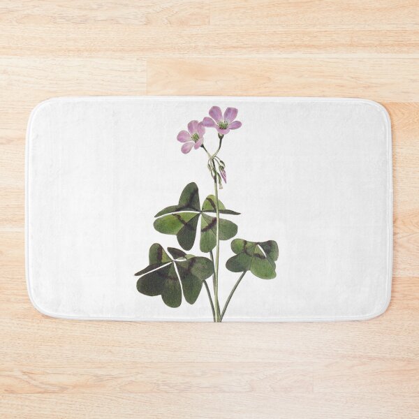 Item preview, Botanical Illustration – Exotic Oxalis designed and sold by DAMADRAMA.