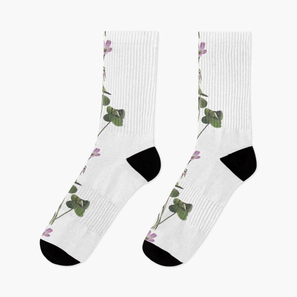 Item preview, Botanical Illustration – Exotic Oxalis designed and sold by DAMADRAMA.