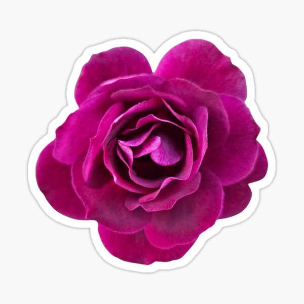 Item preview, Purple Flower designed and sold by beckscre8tive.