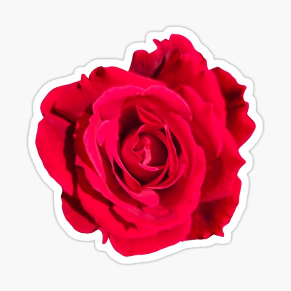 Item preview, Red Rose designed and sold by beckscre8tive.