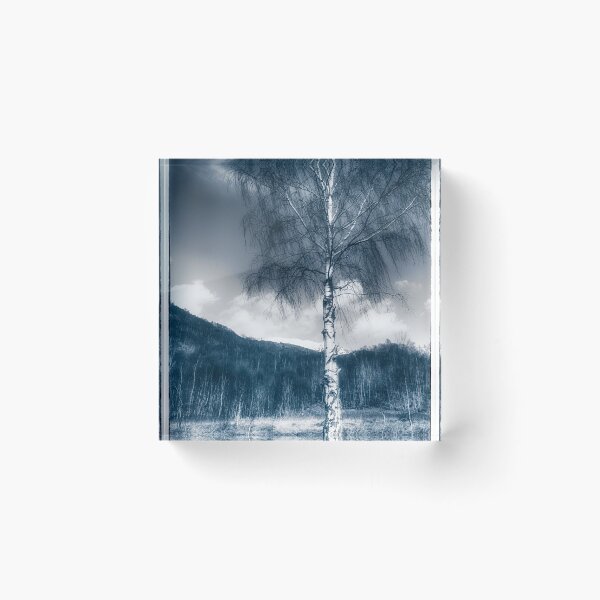 Item preview, Silver birch by shore of Loch Leven designed and sold by Richard Ion.
